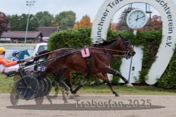 Dateiname=20251009_r03_104_R03_0370.jpg
Dateigröße=281KB
Abmessungen: 1000x667
hinzugefügt am: 09. Oktober 2025 20251009_r03_104_R03_0370.jpg