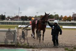 Dateiname=20251009_r03_105_R03_0378.jpg
Dateigröße=296KB
Abmessungen: 1000x667
hinzugefügt am: 09. Oktober 2025 20251009_r03_105_R03_0378.jpg