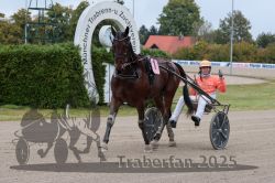 Dateiname=20251009_r03_125_R03_0477.jpg
Dateigröße=330KB
Abmessungen: 1000x667
hinzugefügt am: 09. Oktober 2025 20251009_r03_125_R03_0477.jpg