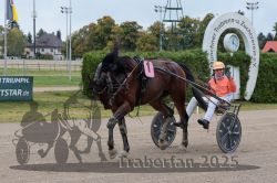 Dateiname=20251009_r03_128_R03_0485.jpg
Dateigröße=332KB
Abmessungen: 1000x667
hinzugefügt am: 09. Oktober 2025 20251009_r03_128_R03_0485.jpg