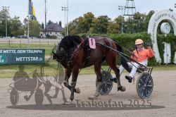 Dateiname=20251009_r03_129_R03_0488.jpg
Dateigröße=310KB
Abmessungen: 1000x667
hinzugefügt am: 09. Oktober 2025 20251009_r03_129_R03_0488.jpg