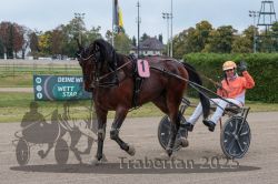 Dateiname=20251009_r03_131_R03_0493.jpg
Dateigröße=315KB
Abmessungen: 1000x667
hinzugefügt am: 09. Oktober 2025 20251009_r03_131_R03_0493.jpg