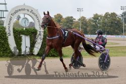 Dateiname=20251009_r04_001_R04_0003.jpg
Dateigröße=298KB
Abmessungen: 1000x667
hinzugefügt am: 09. Oktober 2025 20251009_r04_001_R04_0003.jpg