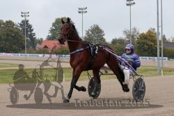 Dateiname=20251009_r04_005_R04_0039.jpg
Dateigröße=266KB
Abmessungen: 1000x667
hinzugefügt am: 09. Oktober 2025 20251009_r04_005_R04_0039.jpg