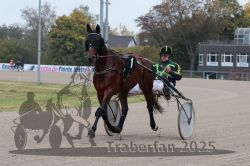 Dateiname=20251009_r04_007_R04_0046.jpg
Dateigröße=297KB
Abmessungen: 1000x667
hinzugefügt am: 09. Oktober 2025 20251009_r04_007_R04_0046.jpg