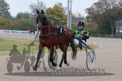 Dateiname=20251009_r04_008_R04_0051.jpg
Dateigröße=299KB
Abmessungen: 1000x667
hinzugefügt am: 09. Oktober 2025 20251009_r04_008_R04_0051.jpg