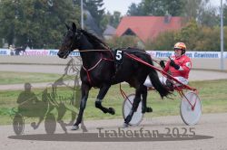 Dateiname=20251009_r04_009_R04_0053.jpg
Dateigröße=281KB
Abmessungen: 1000x667
hinzugefügt am: 09. Oktober 2025 20251009_r04_009_R04_0053.jpg