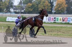 Dateiname=20251009_r04_013_R04_0075.jpg
Dateigröße=278KB
Abmessungen: 1000x667
hinzugefügt am: 09. Oktober 2025 20251009_r04_013_R04_0075.jpg