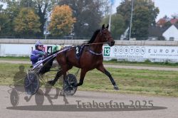 Dateiname=20251009_r04_015_R04_0079.jpg
Dateigröße=293KB
Abmessungen: 1000x667
hinzugefügt am: 09. Oktober 2025 20251009_r04_015_R04_0079.jpg