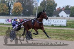 Dateiname=20251009_r04_016_R04_0080.jpg
Dateigröße=284KB
Abmessungen: 1000x667
hinzugefügt am: 09. Oktober 2025 20251009_r04_016_R04_0080.jpg