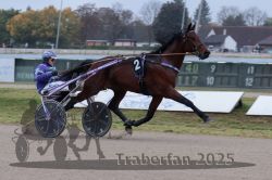 Dateiname=20251009_r04_019_R04_0090.jpg
Dateigröße=252KB
Abmessungen: 1000x667
hinzugefügt am: 09. Oktober 2025 20251009_r04_019_R04_0090.jpg