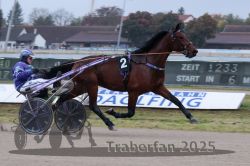 Dateiname=20251009_r04_020_R04_0094.jpg
Dateigröße=247KB
Abmessungen: 1000x667
hinzugefügt am: 09. Oktober 2025 20251009_r04_020_R04_0094.jpg