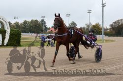 Dateiname=20251009_r04_021_R04_0095.jpg
Dateigröße=295KB
Abmessungen: 1000x667
hinzugefügt am: 09. Oktober 2025 20251009_r04_021_R04_0095.jpg