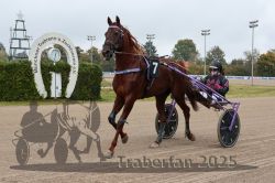 Dateiname=20251009_r04_022_R04_0100.jpg
Dateigröße=308KB
Abmessungen: 1000x667
hinzugefügt am: 09. Oktober 2025 20251009_r04_022_R04_0100.jpg