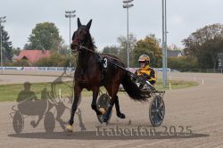 Dateiname=20251009_r04_023_R04_0103.jpg
Dateigröße=270KB
Abmessungen: 1000x667
hinzugefügt am: 09. Oktober 2025 20251009_r04_023_R04_0103.jpg