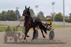 Dateiname=20251009_r04_024_R04_0107.jpg
Dateigröße=252KB
Abmessungen: 1000x667
hinzugefügt am: 09. Oktober 2025 20251009_r04_024_R04_0107.jpg