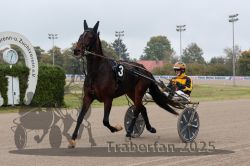 Dateiname=20251009_r04_025_R04_0111.jpg
Dateigröße=266KB
Abmessungen: 1000x667
hinzugefügt am: 09. Oktober 2025 20251009_r04_025_R04_0111.jpg