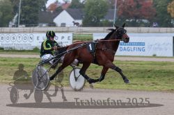 Dateiname=20251009_r04_026_R04_0117.jpg
Dateigröße=267KB
Abmessungen: 1000x667
hinzugefügt am: 09. Oktober 2025 20251009_r04_026_R04_0117.jpg