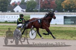 Dateiname=20251009_r04_027_R04_0118.jpg
Dateigröße=277KB
Abmessungen: 1000x667
hinzugefügt am: 09. Oktober 2025 20251009_r04_027_R04_0118.jpg