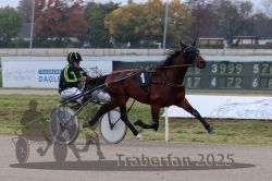 Dateiname=20251009_r04_028_R04_0121.jpg
Dateigröße=270KB
Abmessungen: 1000x667
hinzugefügt am: 09. Oktober 2025 20251009_r04_028_R04_0121.jpg