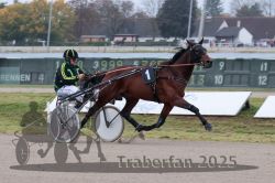 Dateiname=20251009_r04_029_R04_0124.jpg
Dateigröße=266KB
Abmessungen: 1000x667
hinzugefügt am: 09. Oktober 2025 20251009_r04_029_R04_0124.jpg