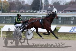 Dateiname=20251009_r04_030_R04_0125.jpg
Dateigröße=265KB
Abmessungen: 1000x667
hinzugefügt am: 09. Oktober 2025 20251009_r04_030_R04_0125.jpg