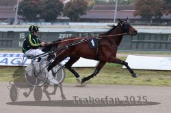 Dateiname=20251009_r04_032_R04_0131.jpg
Dateigröße=255KB
Abmessungen: 1000x667
hinzugefügt am: 09. Oktober 2025 20251009_r04_032_R04_0131.jpg