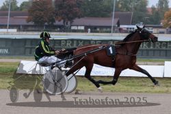 Dateiname=20251009_r04_033_R04_0135.jpg
Dateigröße=258KB
Abmessungen: 1000x667
hinzugefügt am: 09. Oktober 2025 20251009_r04_033_R04_0135.jpg