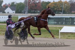 Dateiname=20251009_r04_034_R04_0139.jpg
Dateigröße=272KB
Abmessungen: 1000x667
hinzugefügt am: 09. Oktober 2025 20251009_r04_034_R04_0139.jpg