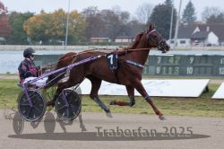 Dateiname=20251009_r04_035_R04_0143.jpg
Dateigröße=263KB
Abmessungen: 1000x667
hinzugefügt am: 09. Oktober 2025 20251009_r04_035_R04_0143.jpg