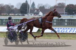 Dateiname=20251009_r04_036_R04_0146.jpg
Dateigröße=266KB
Abmessungen: 1000x667
hinzugefügt am: 09. Oktober 2025 20251009_r04_036_R04_0146.jpg