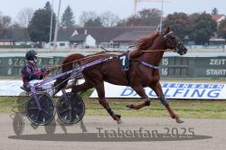 Dateiname=20251009_r04_037_R04_0147.jpg
Dateigröße=274KB
Abmessungen: 1000x667
hinzugefügt am: 09. Oktober 2025 20251009_r04_037_R04_0147.jpg