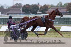 Dateiname=20251009_r04_038_R04_0150.jpg
Dateigröße=261KB
Abmessungen: 1000x667
hinzugefügt am: 09. Oktober 2025 20251009_r04_038_R04_0150.jpg