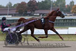 Dateiname=20251009_r04_039_R04_0154.jpg
Dateigröße=255KB
Abmessungen: 1000x667
hinzugefügt am: 09. Oktober 2025 20251009_r04_039_R04_0154.jpg