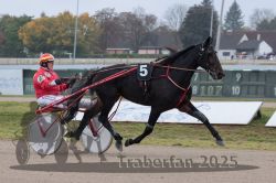 Dateiname=20251009_r04_043_R04_0164.jpg
Dateigröße=270KB
Abmessungen: 1000x667
hinzugefügt am: 09. Oktober 2025 20251009_r04_043_R04_0164.jpg