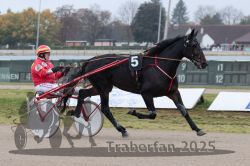 Dateiname=20251009_r04_044_R04_0165.jpg
Dateigröße=268KB
Abmessungen: 1000x667
hinzugefügt am: 09. Oktober 2025 20251009_r04_044_R04_0165.jpg