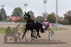 Dateiname=20251009_r04_046_R04_0173.jpg
Dateigröße=265KB
Abmessungen: 1000x667
hinzugefügt am: 09. Oktober 2025 20251009_r04_046_R04_0173.jpg