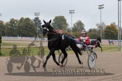 Dateiname=20251009_r04_047_R04_0177.jpg
Dateigröße=262KB
Abmessungen: 1000x667
hinzugefügt am: 09. Oktober 2025 20251009_r04_047_R04_0177.jpg