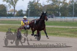 Dateiname=20251009_r04_049_R04_0190.jpg
Dateigröße=261KB
Abmessungen: 1000x667
hinzugefügt am: 09. Oktober 2025 20251009_r04_049_R04_0190.jpg