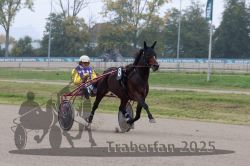 Dateiname=20251009_r04_050_R04_0193.jpg
Dateigröße=276KB
Abmessungen: 1000x667
hinzugefügt am: 09. Oktober 2025 20251009_r04_050_R04_0193.jpg