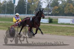 Dateiname=20251009_r04_052_R04_0200.jpg
Dateigröße=281KB
Abmessungen: 1000x667
hinzugefügt am: 09. Oktober 2025 20251009_r04_052_R04_0200.jpg