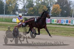 Dateiname=20251009_r04_053_R04_0204.jpg
Dateigröße=307KB
Abmessungen: 1000x667
hinzugefügt am: 09. Oktober 2025 20251009_r04_053_R04_0204.jpg