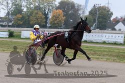 Dateiname=20251009_r04_054_R04_0207.jpg
Dateigröße=274KB
Abmessungen: 1000x667
hinzugefügt am: 09. Oktober 2025 20251009_r04_054_R04_0207.jpg