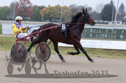 Dateiname=20251009_r04_056_R04_0215.jpg
Dateigröße=277KB
Abmessungen: 1000x667
hinzugefügt am: 09. Oktober 2025 20251009_r04_056_R04_0215.jpg