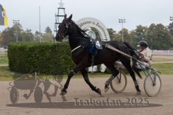 Dateiname=20251009_r04_058_R04_0221.jpg
Dateigröße=261KB
Abmessungen: 1000x667
hinzugefügt am: 09. Oktober 2025 20251009_r04_058_R04_0221.jpg