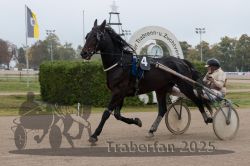 Dateiname=20251009_r04_059_R04_0222.jpg
Dateigröße=255KB
Abmessungen: 1000x667
hinzugefügt am: 09. Oktober 2025 20251009_r04_059_R04_0222.jpg