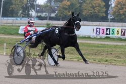 Dateiname=20251009_r04_060_R04_0226.jpg
Dateigröße=272KB
Abmessungen: 1000x667
hinzugefügt am: 09. Oktober 2025 20251009_r04_060_R04_0226.jpg