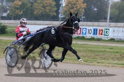 Dateiname=20251009_r04_061_R04_0229.jpg
Dateigröße=275KB
Abmessungen: 1000x667
hinzugefügt am: 09. Oktober 2025 20251009_r04_061_R04_0229.jpg