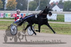 Dateiname=20251009_r04_062_R04_0233.jpg
Dateigröße=279KB
Abmessungen: 1000x667
hinzugefügt am: 09. Oktober 2025 20251009_r04_062_R04_0233.jpg