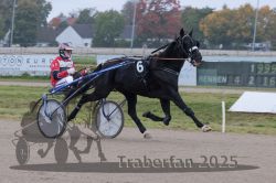 Dateiname=20251009_r04_064_R04_0237.jpg
Dateigröße=266KB
Abmessungen: 1000x667
hinzugefügt am: 09. Oktober 2025 20251009_r04_064_R04_0237.jpg